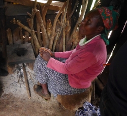 Cookstove with user in Meru